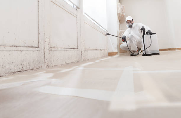 24/7 Emergency Attic Mold Removal experts in Bloomington, IL